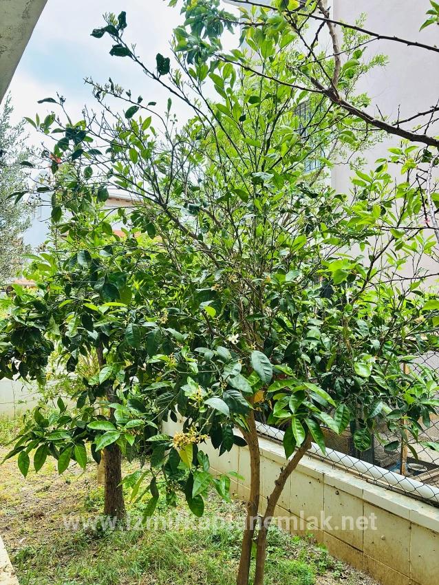 1+1-Zimmer Appartement Zu verkaufen in Bengiler Bz. Seferihisar Ürkmez - 65 m²