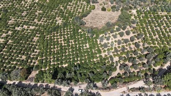 7928 M² Großes, Erschlossenes Grundstück Mit Strom-, Wasser- Und Straßenanschluss In Menderes Özdere Zu Verkaufen
