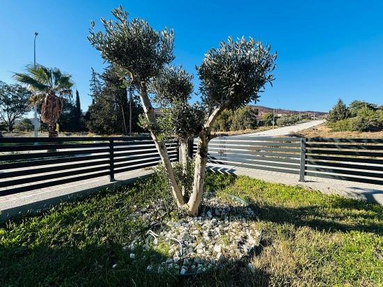 Dreifamilienhaus Mit 3+1 Bädern Und Separatem Grundbucheintrag, Direkt Am Meer Im Viertel Atatürk, Seferihisar, İzmir