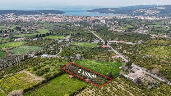 2.155 M² Großer Zitrusgarten Zum Verkauf Im Bezirk Izmir Seferihisar Sığacık