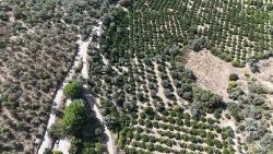 7928 M² Großes, Erschlossenes Grundstück Mit Strom-, Wasser- Und Straßenanschluss In Menderes Özdere Zu Verkaufen