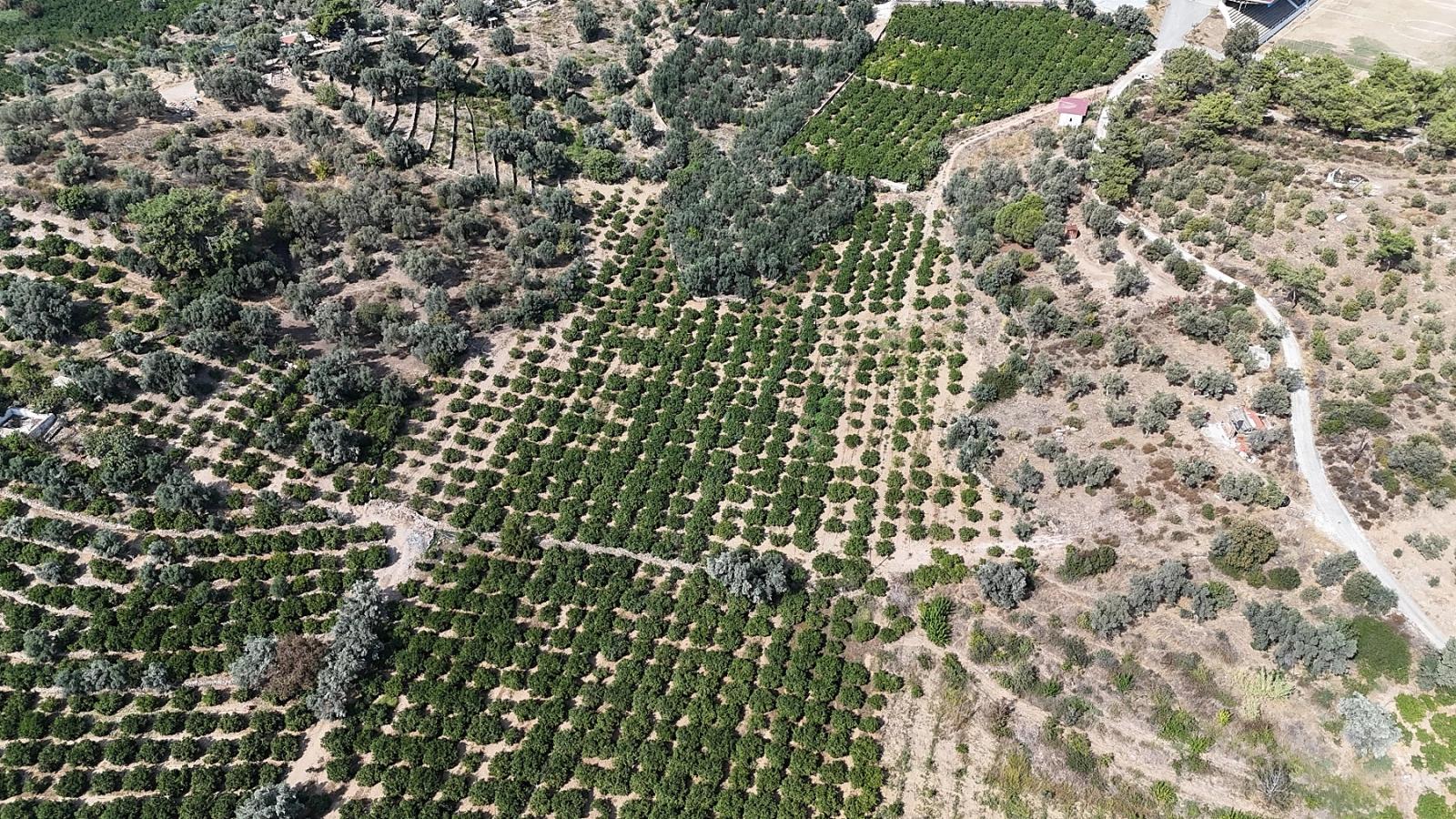 Menderes Özdere Has Electricity, Water And Roads. 11,450 Square Meters Of Land For Sale.