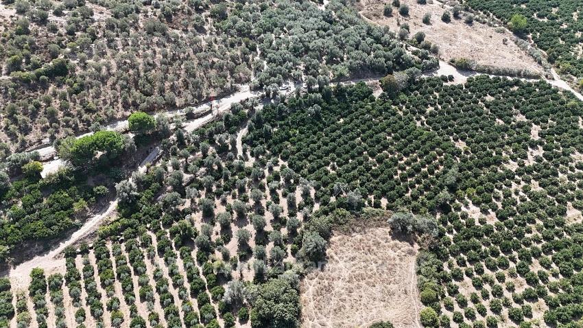 7928 M² Electricity, Water, Road Available Field For Sale In Menderes Özdere