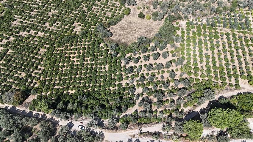 7928 M² Electricity, Water, Road Available Field For Sale In Menderes Özdere