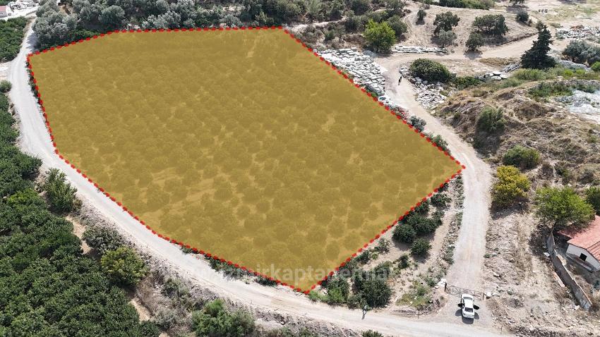 Corner Parcel Single Title Deed 9.727M² Field For Sale In Menderes Özdere, 100M From The Beach