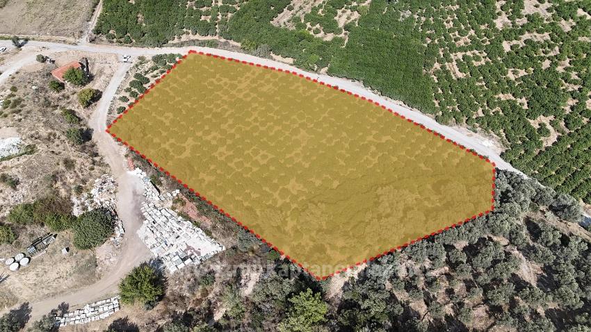 Corner Parcel Single Title Deed 9.727M² Field For Sale In Menderes Özdere, 100M From The Beach