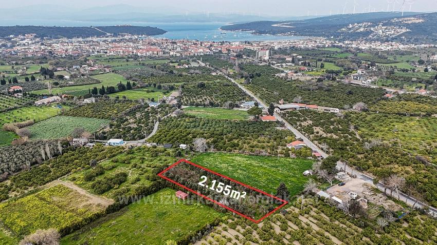 2.155M² Citrus Garden For Sale In Izmir Seferihisar Sığacık District