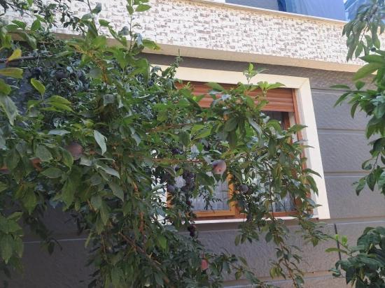 Spacious 2+1 Villa For Sale With Garden In Seferihisar Doğanbey