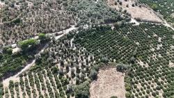 7928 M² Electricity, Water, Road Available Field For Sale In Menderes Özdere