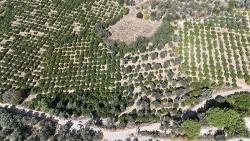 7928 M² Electricity, Water, Road Available Field For Sale In Menderes Özdere