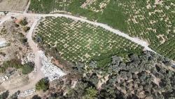 Corner Parcel Single Title Deed 9.727M² Field For Sale In Menderes Özdere, 100M From The Beach