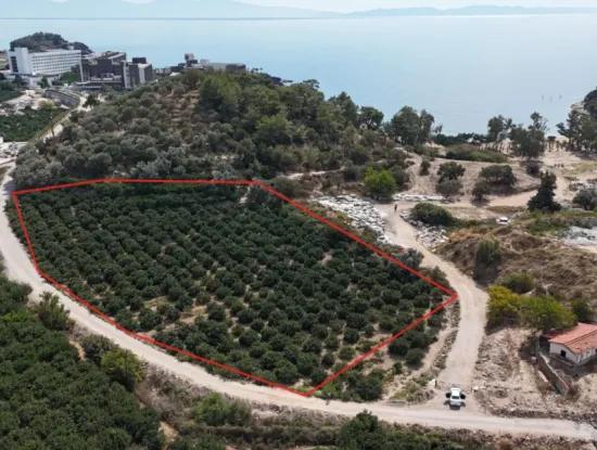 100 M Corner Parcel To The Beach In Özdere 9.727M² Field For Sale With Single Title Deed