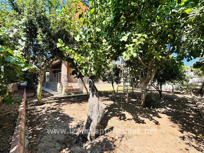 Для продажи Летний 4+1 в Cumhuriyet Seferihisar Doğanbey - 160 m²