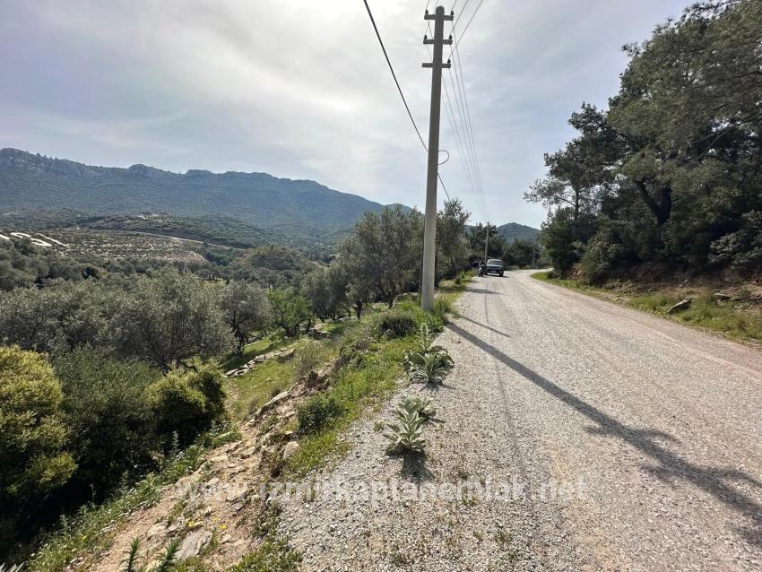 Menderes Özdere Özdere Cumhuriyet Mah. Satılık Tarla - Zeytinlik İmar Durumlu - 12.177 m²