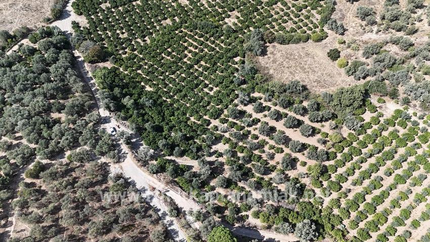 Menderes Özdere Özdere Cumhuriyet Mah. Satılık Tarla - Tarla İmar Durumlu - 7.928 m²