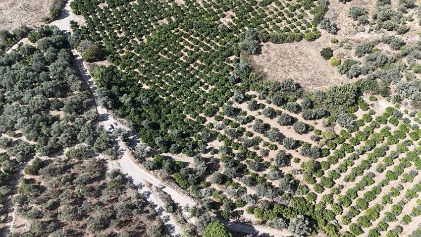 Menderes Özdere'de 7928 M² Elektrik Su Yol Mevcut Satılık Tarla