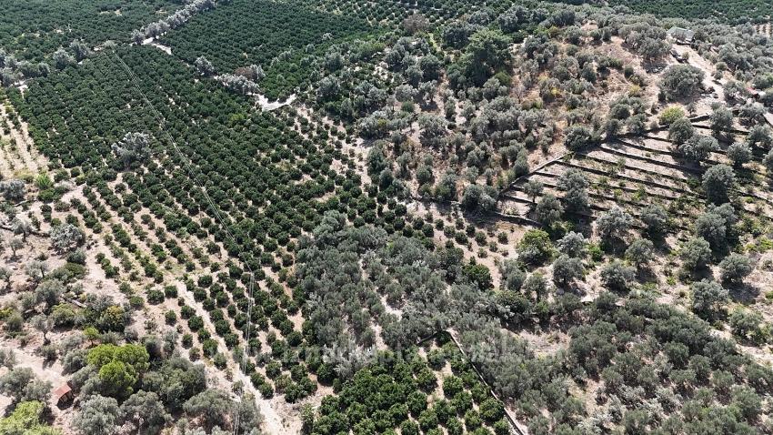 Menderes Özdere'de Elektrik Su Yol Mevcut 11.450M² Satılık Tarla Tarlasatılık