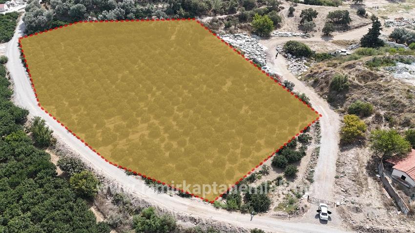 Menderes Özdere Özdere Cumhuriyet Mah. Satılık Tarla - Turizm İmar Durumlu - 9.727 m²