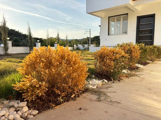 Seferihisar Payamlı Köyü'nde Geniş Bahçeli Sıfır 3+1 Satılık Villa