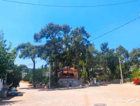 İzmir Seferihisar Payamlı Da 3+1 Satılık Tribleks Yazlık Villa
